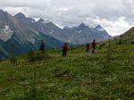 Cdn Rockies Adventure (Aug 2010) - Talus - 131
